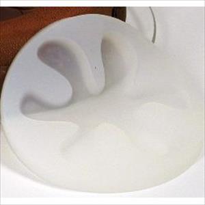 Positive Stain mould
