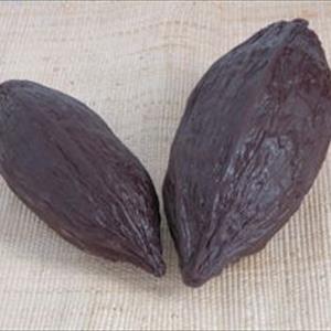 Medium Cocoa Fruit Mould