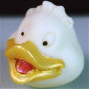 Duck Snout mould
