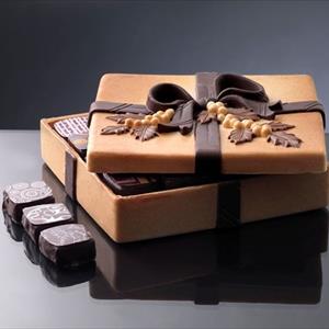Square Box Christmas chocolate mould