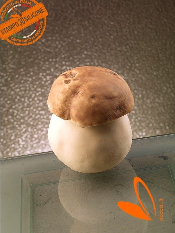 Boletus Mushroom mould