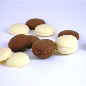 French Macarons mould