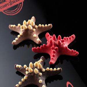 Starfish Mould