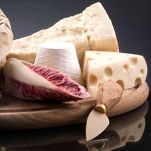 Ricotta italian cheese mould