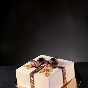 Holly Bow Square Ice Cream Cake mould