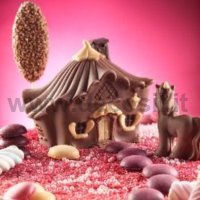 Video Tutorial Step by Step How to make Chocolate House of Fairies