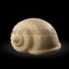 Strombus Alatus shell mould